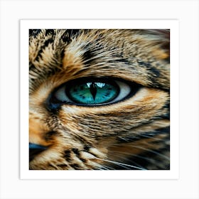 Default A Closeup Of A Sparkling Pair Of Mesmerizing Cat Eyes 0 Art Print