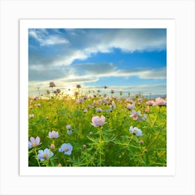 Field Of Flowers At Sunset Art Print