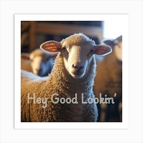 Hey Good Lookin', Close up sheep Art Print