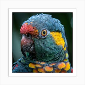 Colorful Parrot 23 Art Print