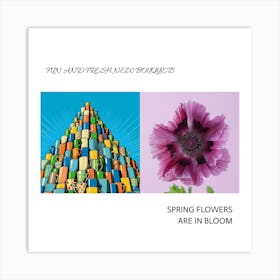 Spring Flowers Are In Bloom Art Print