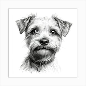 Norfolk Terrier 1 Art Print