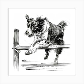 Border Collie Jumping Over Fence Art Print