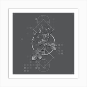 Vintage White Damask Rose Botanical with Line Motif and Dot Pattern in Ghost Gray n.0401 Art Print