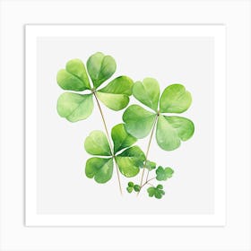 Four Leaf Clover 17 Art Print