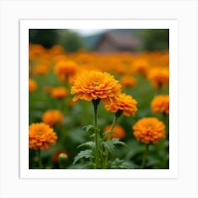 A Lush Garden Filled With Bright, Cheerful Nasturtiums 3 Art Print