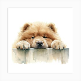 Chow Chow 1 Art Print