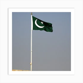 Pakistan Flag Art Print