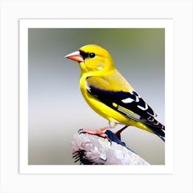 Goldfinch 1 Art Print