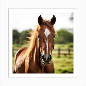 Grass Horse Mammal Animal Head Steady Offspring Beauty Riding Horse Mare Dam Cute Streng (7) Art Print