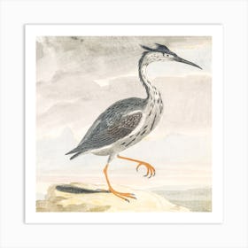 A Heron, Johan Teyler Art Print