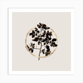 Gold Ring Kermes Oak Glitter Botanical Illustration n.0322 Art Print