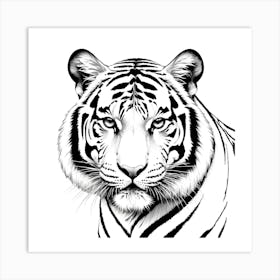 Tiger art print Art Print