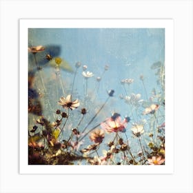 Cosmos Art Print