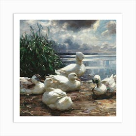 Ducks 1 Art Print