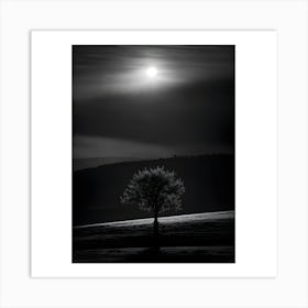 Lone Tree Art Print