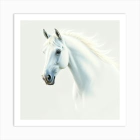 White Horse Art Print