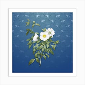 Vintage White Rose of Snow Botanical on Bahama Blue Pattern n.1997 Art Print