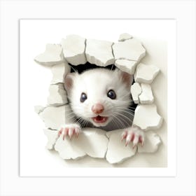 Ferret Peeking Out Of A Hole Art Print