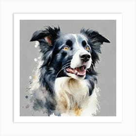 Border Collie Canvas Print Art Print