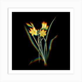 Prism Shift Daylily Botanical Illustration on Black n.0146 Art Print
