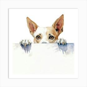 Chihuahua 11 Art Print