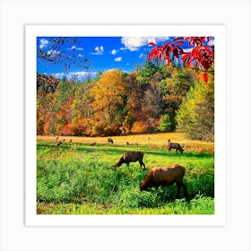 Elk Grazing In A Field Art Print