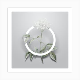 Vintage Elderflower Tree Minimalist Botanical Geometric Circle on Soft Gray Art Print