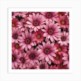 Pink Daisies Art Print