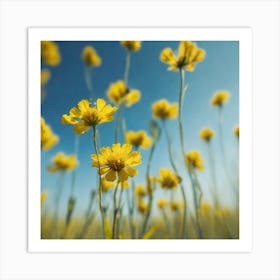 Yellow Flowers In A Field 33 Art Print