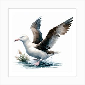 Albatross 2 Art Print