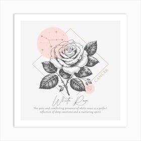 White Rose. Art Print