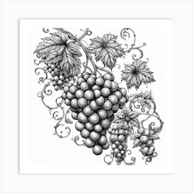 Line Art grapes and vines 1 Art Print