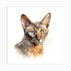 York Chocolate Cat Portrait 2 Art Print