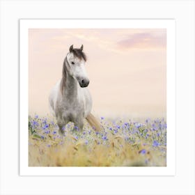 Horse In A Field Of Flowers Art Print