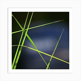  Grass Abstract Art Print