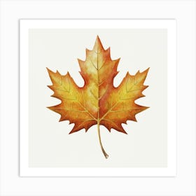 Maple Leaf 1 Art Print