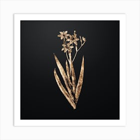 Gold Botanical Blackberry Lily on Wrought Iron Black Art Print