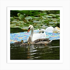 Swan Family 2 Art Print