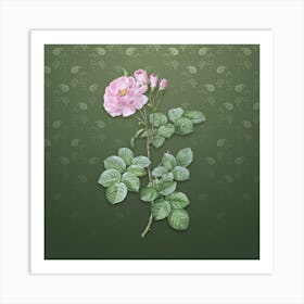 Vintage Damask Rose Botanical on Lunar Green Pattern n.0490 Art Print