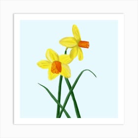 Spring Daffodils  Art Print