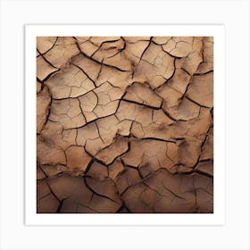 Cracked Earth 6 Art Print