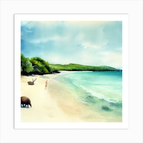 Galapagos Islands, Beach 1 Art Print