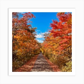 Autumn Trail Art Print