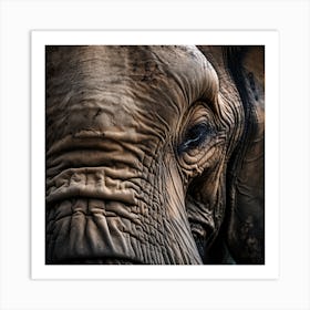 Elephant Photo 2 Art Print