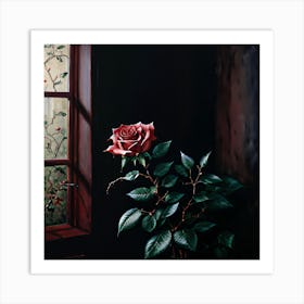 Rose By The Window Art Print