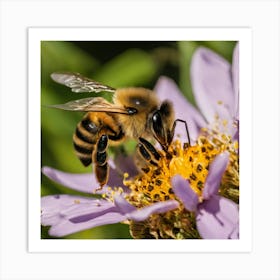 Bee On A Flower 7 Art Print