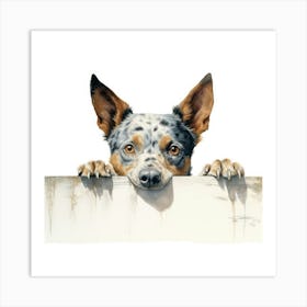 Australian Cattle Dog 5 Art Print