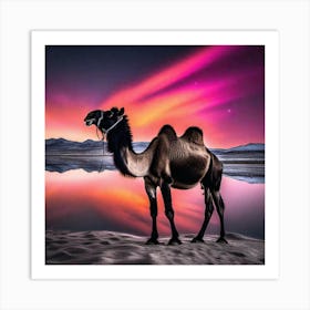 Camel At Night Art Print