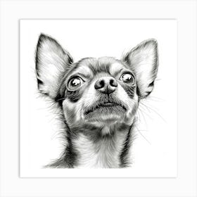 Chihuahua Art Print